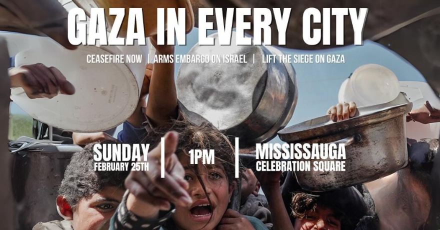Mississauga Rally Gaza in Every City