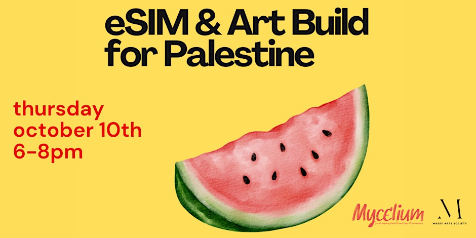 eSIM & Art Build for Palestine