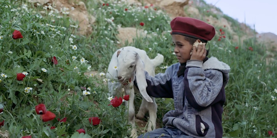 Calgary Arab Film Nights Palestine Short Films