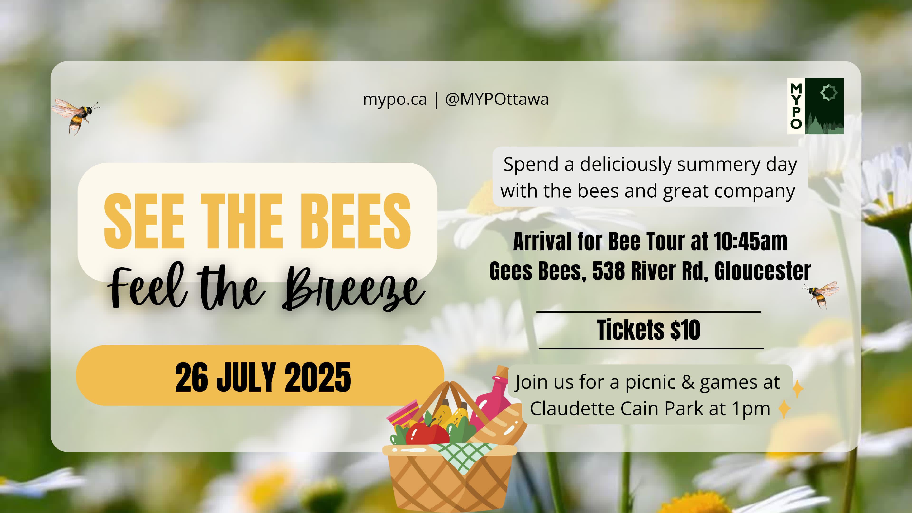 BUZZ & CHILL: See the Bees, Feel the Breeze with MYPO