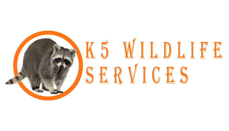 K5 Wildlife Services