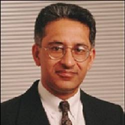 Karim H. Karim, Academic
