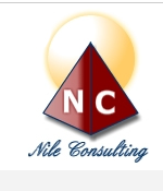 Nile Consulting – Professional Website Design