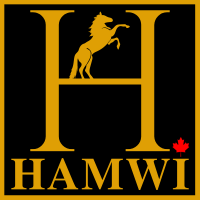 Hamwi Insurance
