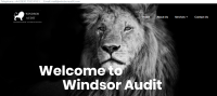 Windsor Audit