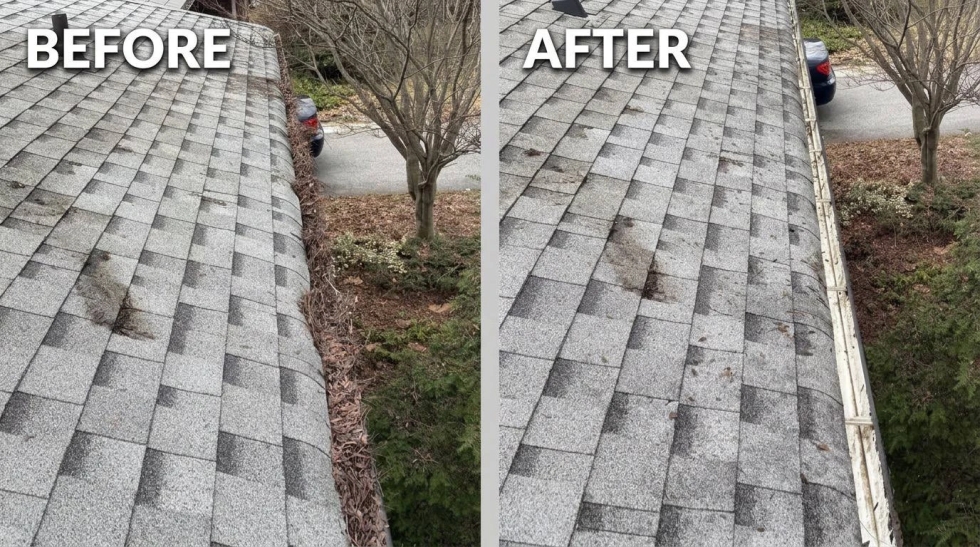 Home Exterior Maintenance Guide for GTA Newcomer Families