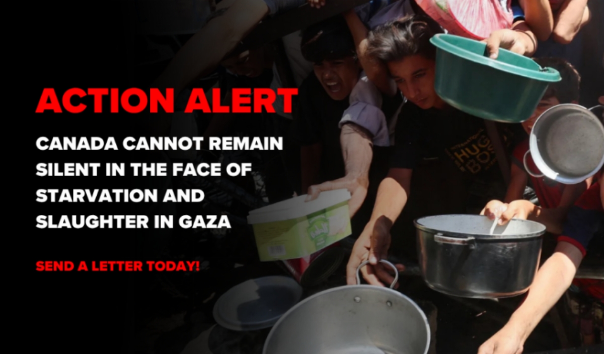 Canada Cannot Remain Silent in the Face of Starvation and Slaughter in Gaza (Letter Campaign)