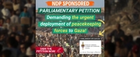 Sign the Petition Demanding the Urgent Deployment of Peacekeepers to Gaza