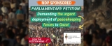 Sign the Petition Demanding the Urgent Deployment of Peacekeepers to Gaza